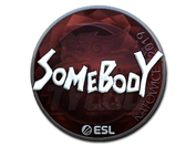 Sticker | somebody (Foil) | Katowice 2019 image