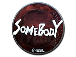 Sticker | somebody (Foil) | Katowice 2019 image