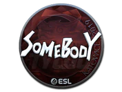 Sticker | somebody (Foil) | Katowice 2019 image