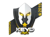 Sticker | Keyd Stars | Katowice 2015 image