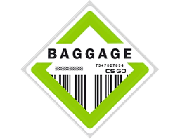 The Baggage Collection image