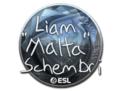 Sticker | malta (Foil) | Katowice 2019 image