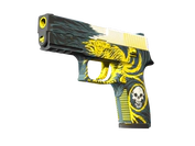 P250 | Wingshot image