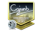 Sticker | cajunb (Foil) | Cluj-Napoca 2015 image