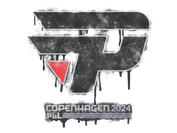 Sealed Graffiti | paiN Gaming | Copenhagen 2024 image
