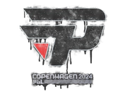 Sealed Graffiti | paiN Gaming | Copenhagen 2024 image
