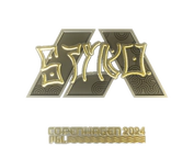 Sticker | STYKO (Gold) | Copenhagen 2024 image