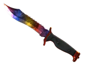 ★ Bowie Knife | Marble Fade image