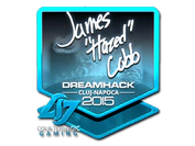 Sticker | hazed (Foil) | Cluj-Napoca 2015 image