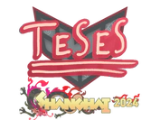 Sticker | TeSeS | Shanghai 2024 image