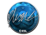 Sticker | flusha (Foil) | Katowice 2019 image