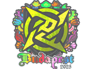 Sticker | Ninjas in Pyjamas (Holo) | Budapest 2025