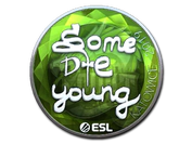 Sticker | sdy (Foil) | Katowice 2019 image