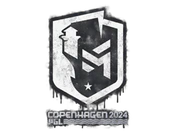 Sealed Graffiti | PGL | Copenhagen 2024 image