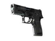 P250 | Metallic DDPAT image