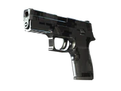 P250 | Metallic DDPAT image