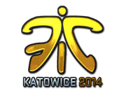 Sticker | Fnatic (Foil) | Katowice 2014 image