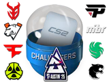 Austin 2025 Challengers Sticker Capsule