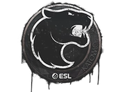 Sealed Graffiti | FURIA | Katowice 2019 image