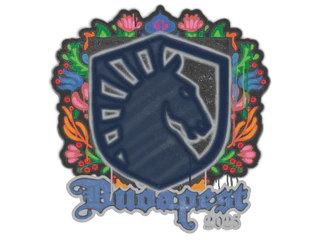 Sealed Graffiti | Team Liquid | Budapest 2025