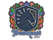 Sealed Graffiti | Team Liquid | Budapest 2025 image