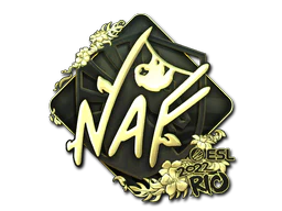 Sticker | NAF (Gold) | Rio 2022 image