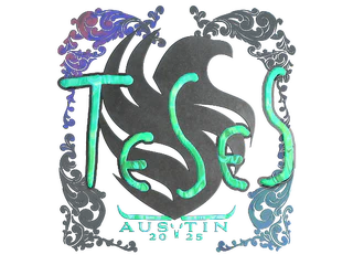 Sticker | TeSeS (Holo) | Austin 2025