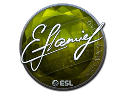 Sticker | flamie (Foil) | Katowice 2019 image