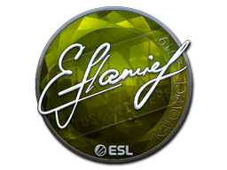 Sticker | flamie (Foil) | Katowice 2019 image