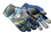 ★ Specialist Gloves | Mogul image