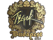 Sticker | Tiger (Gold) | Budapest 2025 image