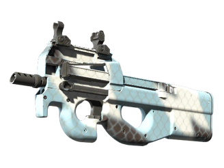 P90 | Glacier Mesh image