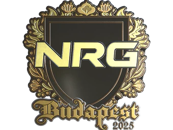 Sticker | NRG (Gold) | Budapest 2025 image