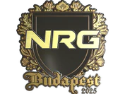 Sticker | NRG (Gold) | Budapest 2025 image