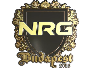 Sticker | NRG (Gold) | Budapest 2025