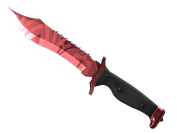 ★ Bowie Knife | Slaughter image