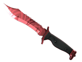 ★ Bowie Knife | Slaughter image