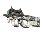 P90 | Schematic image