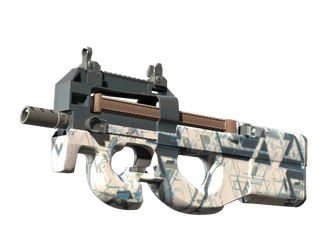 P90 | Schematic image