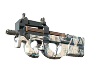 P90 | Schematic image