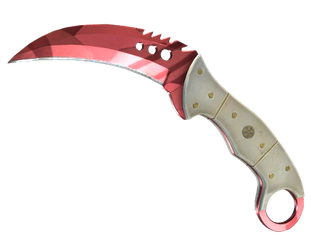 ★ Talon Knife | Slaughter image