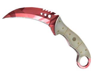 ★ Talon Knife | Slaughter image