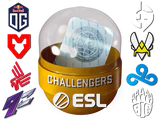 Rio 2022 Challengers Sticker Capsule