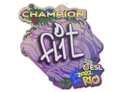Sticker | FL1T (Champion) | Rio 2022 image