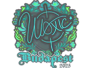 Sticker | woxic | Budapest 2025 image