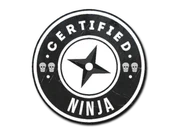 Sticker | The Ninja image