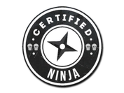 Sticker | The Ninja image