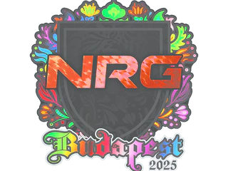 Sticker | NRG (Holo) | Budapest 2025