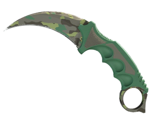 ★ Karambit | Boreal Forest image