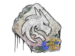 Sealed Graffiti | Team Spirit | Rio 2022